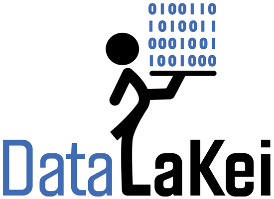 data steward